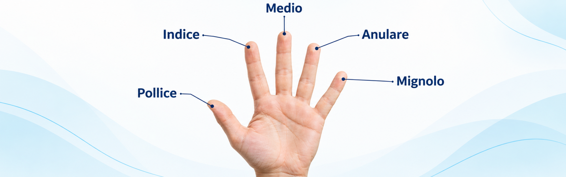 Mano aperta con i nomi delle cinque dita: pollice, indice, medio, anulare e mignolo